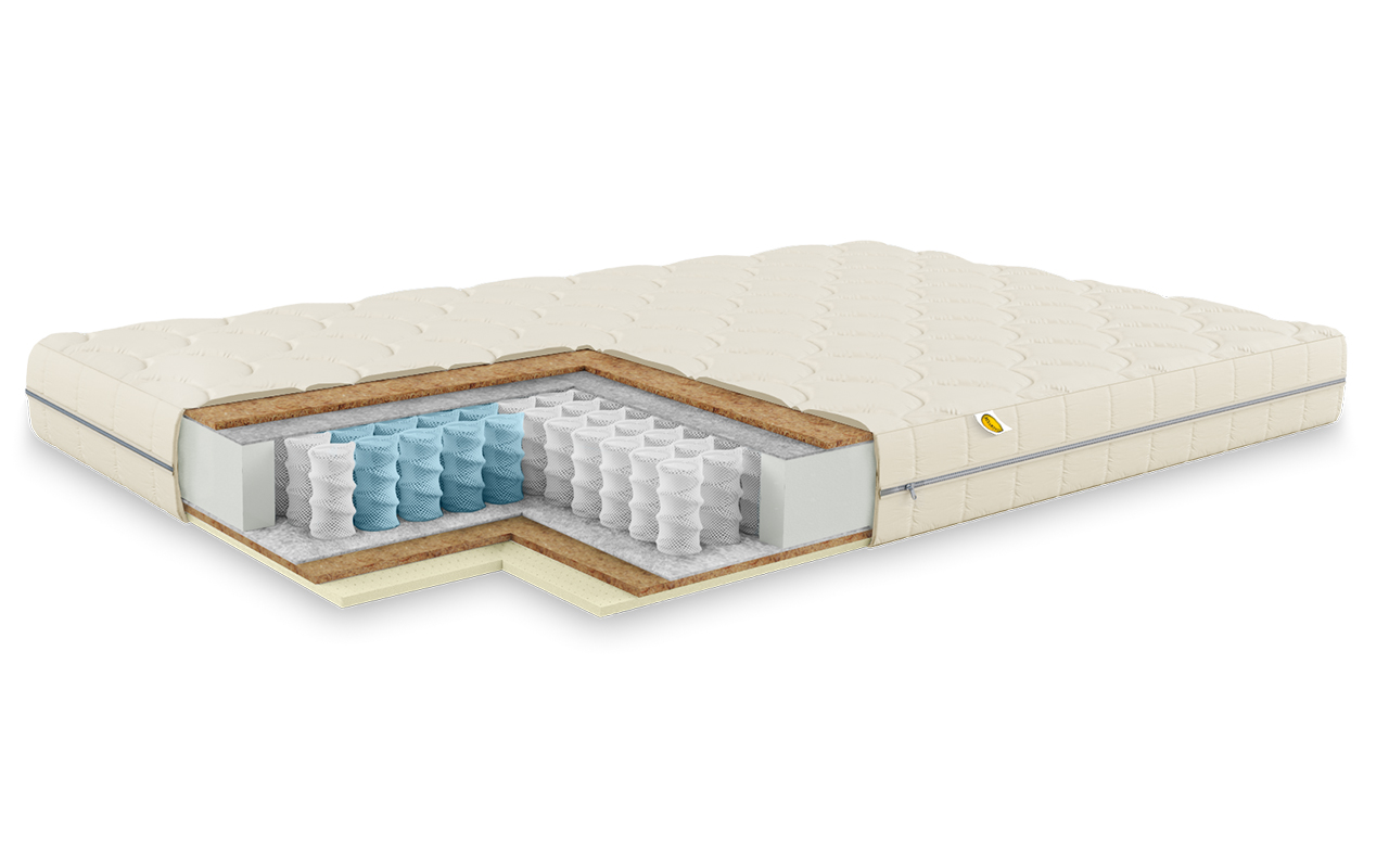 Benartti Baby Orto TFK